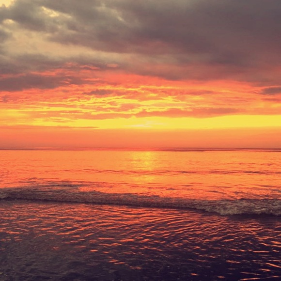 Meet your Posher, Erika - Picture 2 of 2